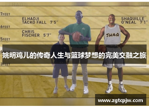 姚明鸡儿的传奇人生与篮球梦想的完美交融之旅