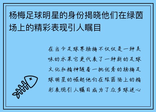 杨梅足球明星的身份揭晓他们在绿茵场上的精彩表现引人瞩目